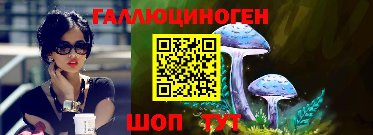 Псилоцибиновые грибы MAGIC MUSHROOMS Петропавловск-Камчатский